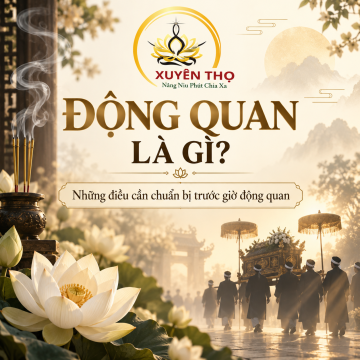 Động quan là gì? Vì sao phải chuẩn bị kỹ trước giờ động quan?